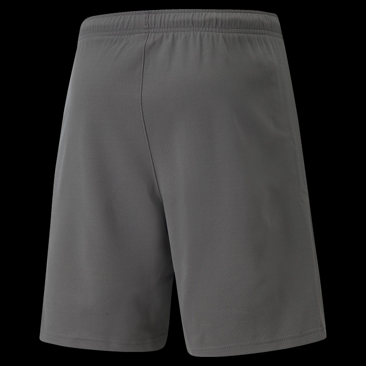Men's Puma teamRISE Soccer Shorts - Smoked Pearl/Puma White
