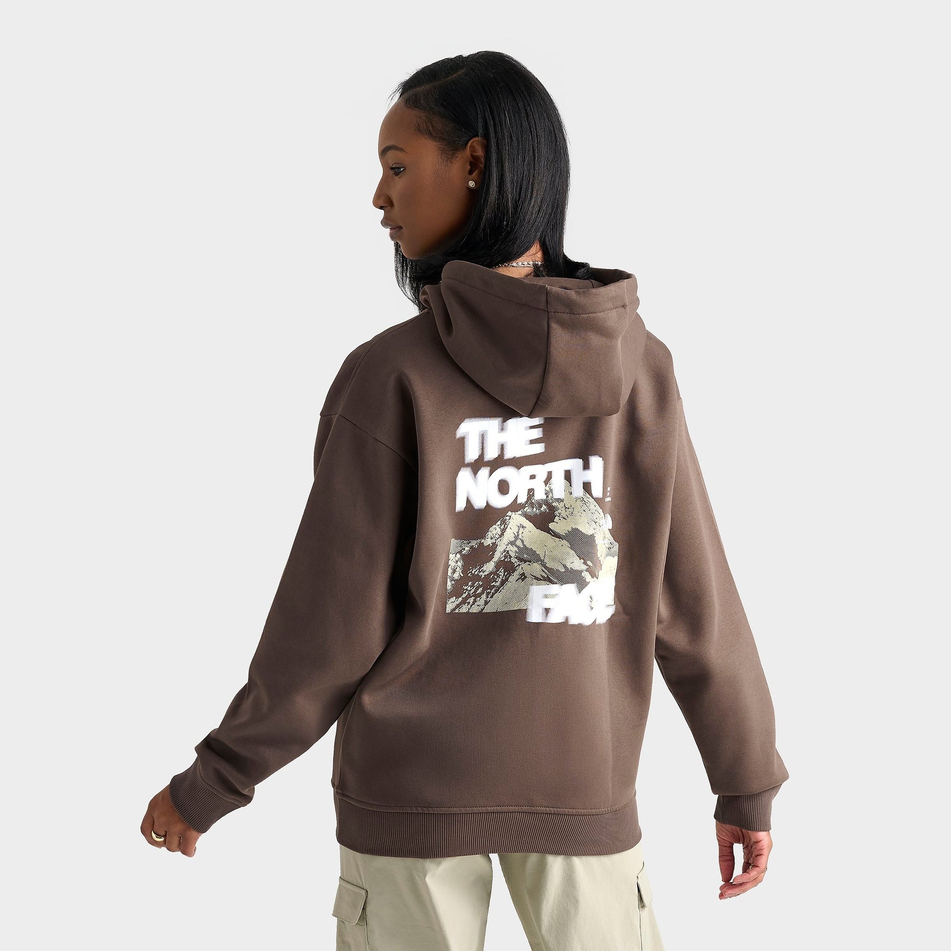 Women's The North Face Dark Matter Oversized Pullover Hoodie - Smoky Brown/Desert