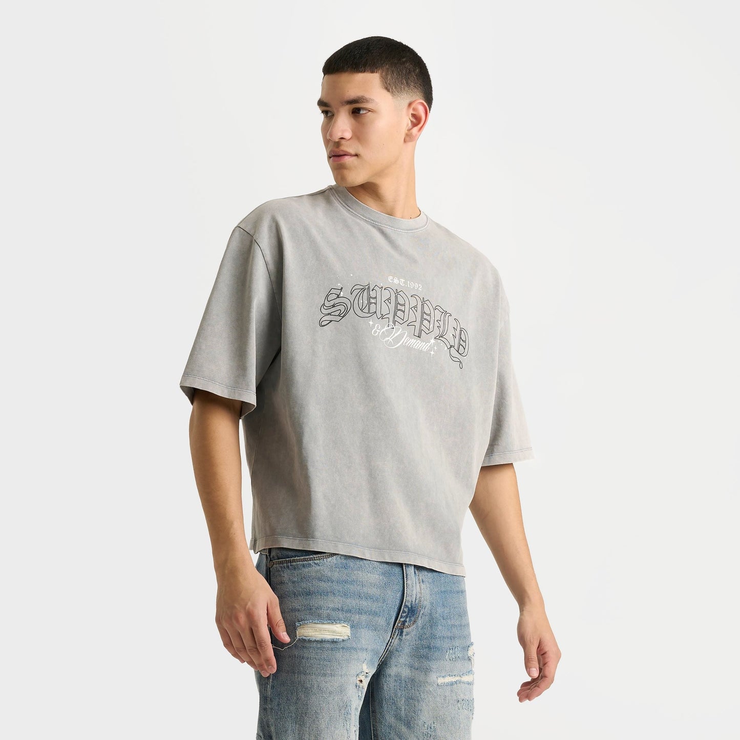 Men's Supply & Demand Gamer T-Shirt - Washed Grey