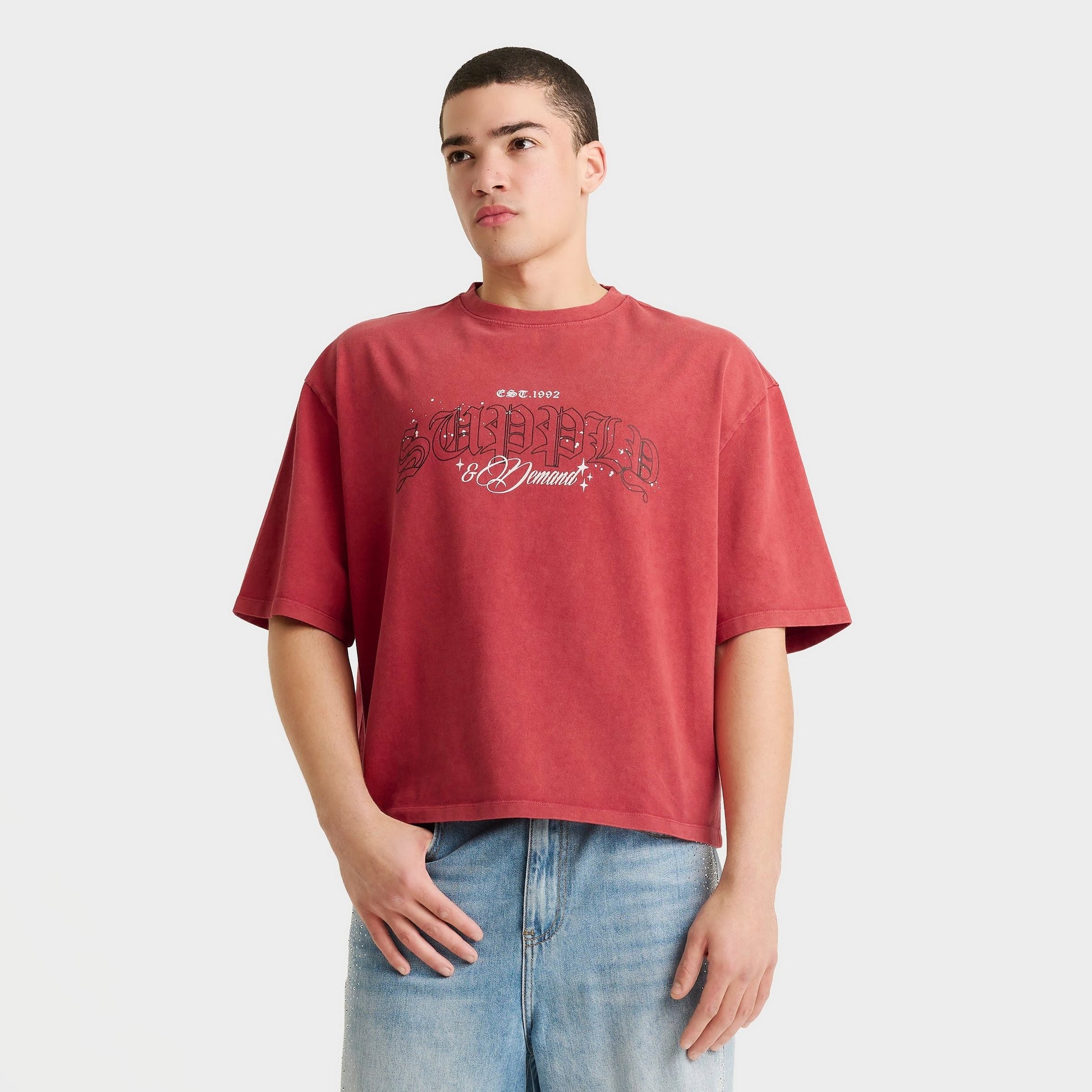 Men's Supply & Demand Gamer T-Shirt - Washed Red