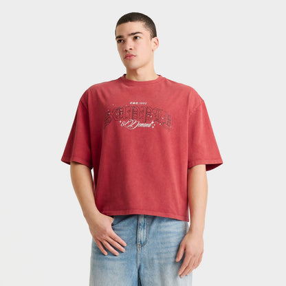 Men's Supply & Demand Gamer T-Shirt - Washed Red