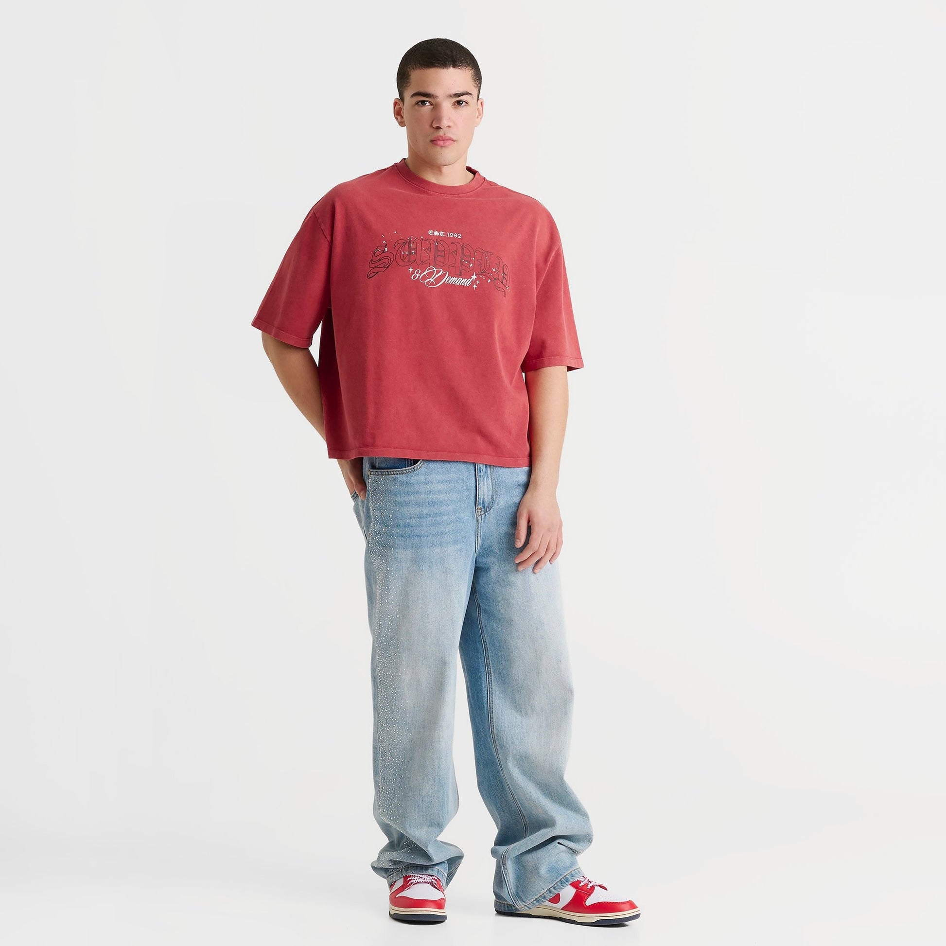 Men's Supply & Demand Gamer T-Shirt - Washed Red