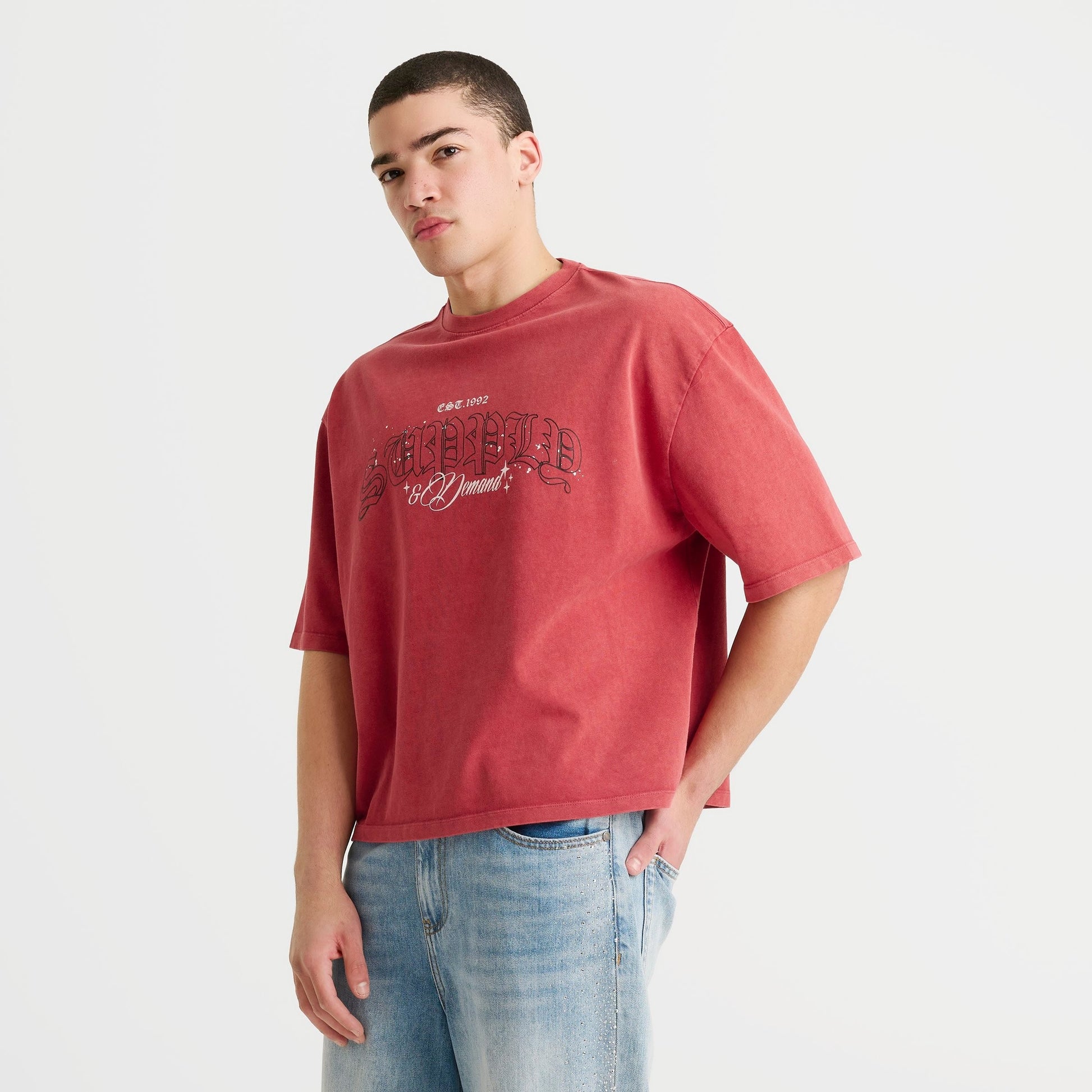 Men's Supply & Demand Gamer T-Shirt - Washed Red