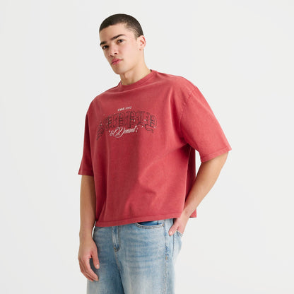 Men's Supply & Demand Gamer T-Shirt - Washed Red