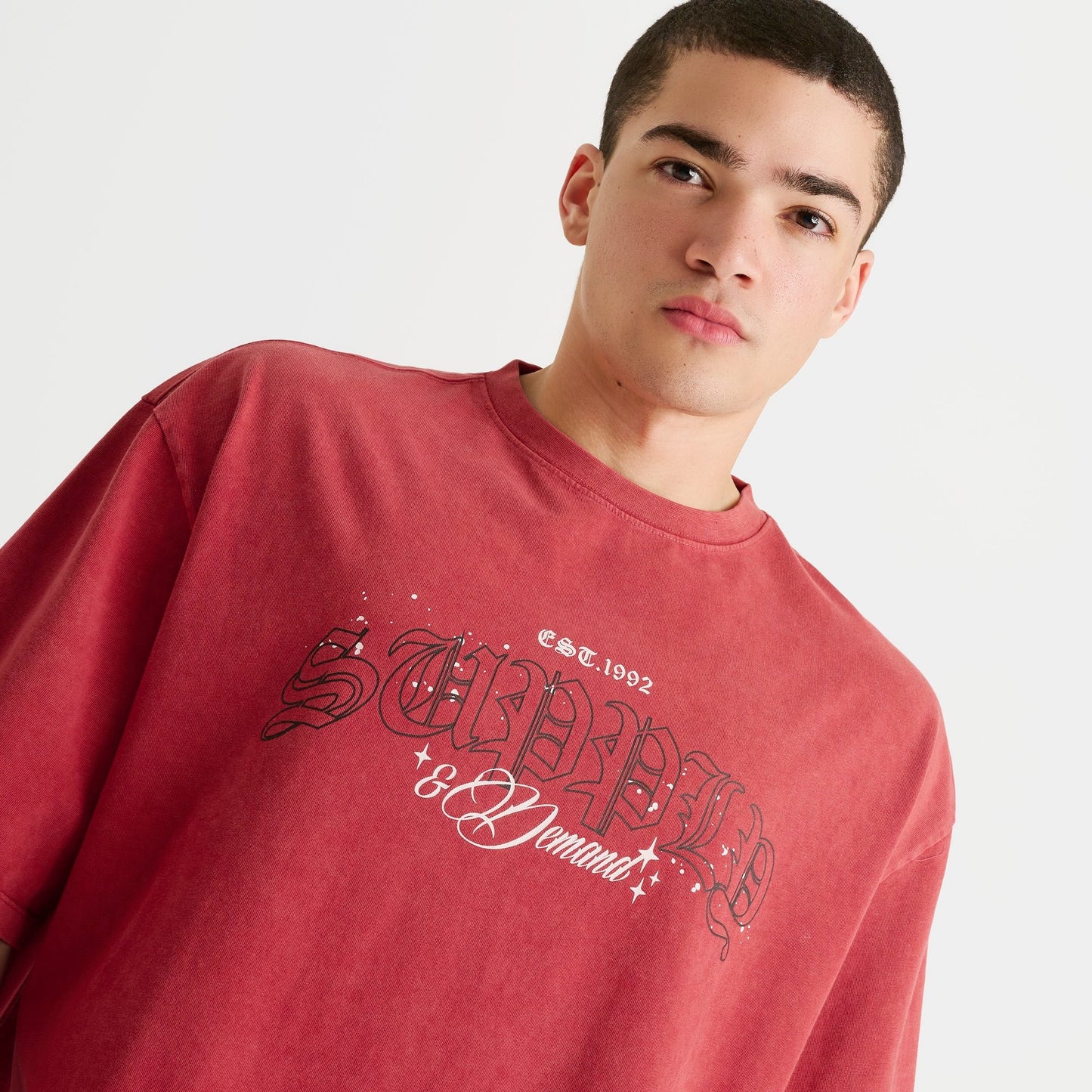 Men's Supply & Demand Gamer T-Shirt - Washed Red
